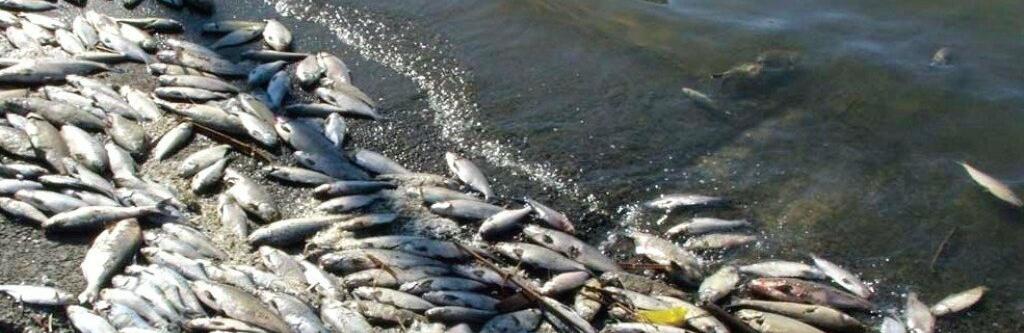  ���������������� ������ ���� ���� ���� ������ ��������� ��� 