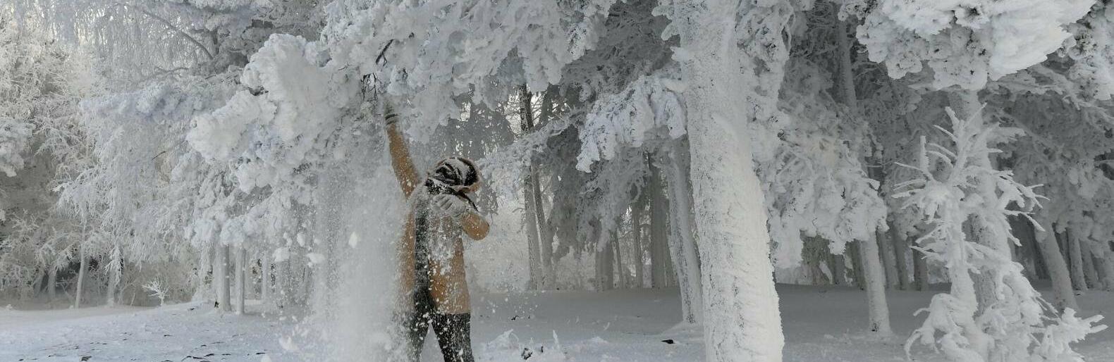  ���������� �������� ���� ������ ���� ������ �������� ������ 