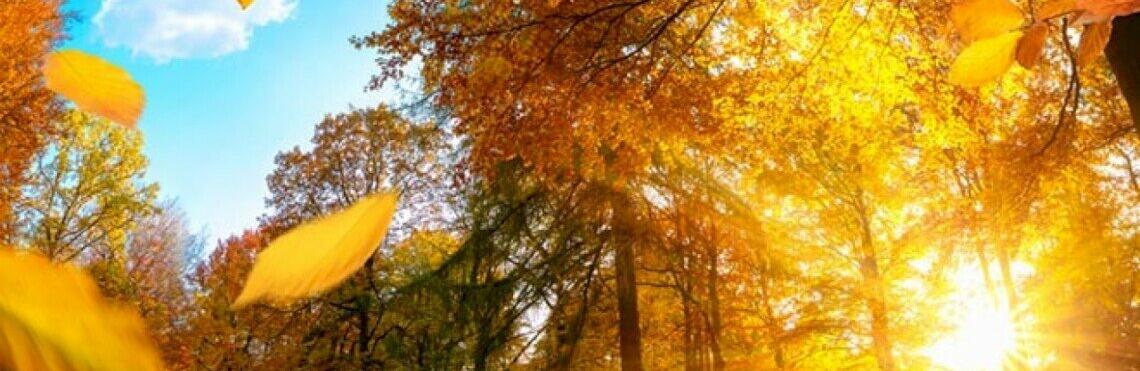  ��� ������ ��� ���� ��� ������ ����� ����� 