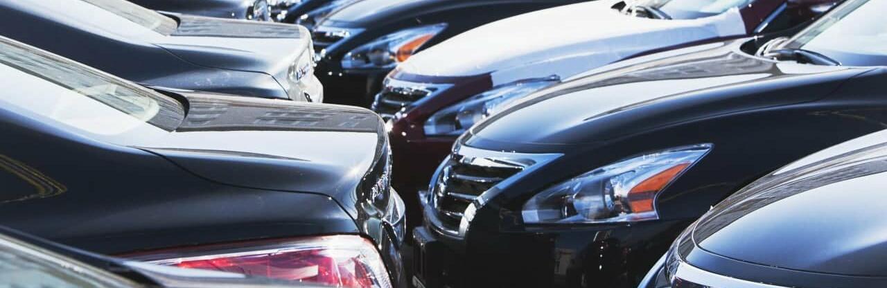  ����� ����� ������ ���� ��������� ����� ������� ���� 