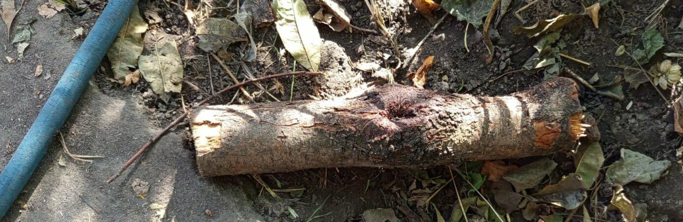 ����: 5692.com.ua