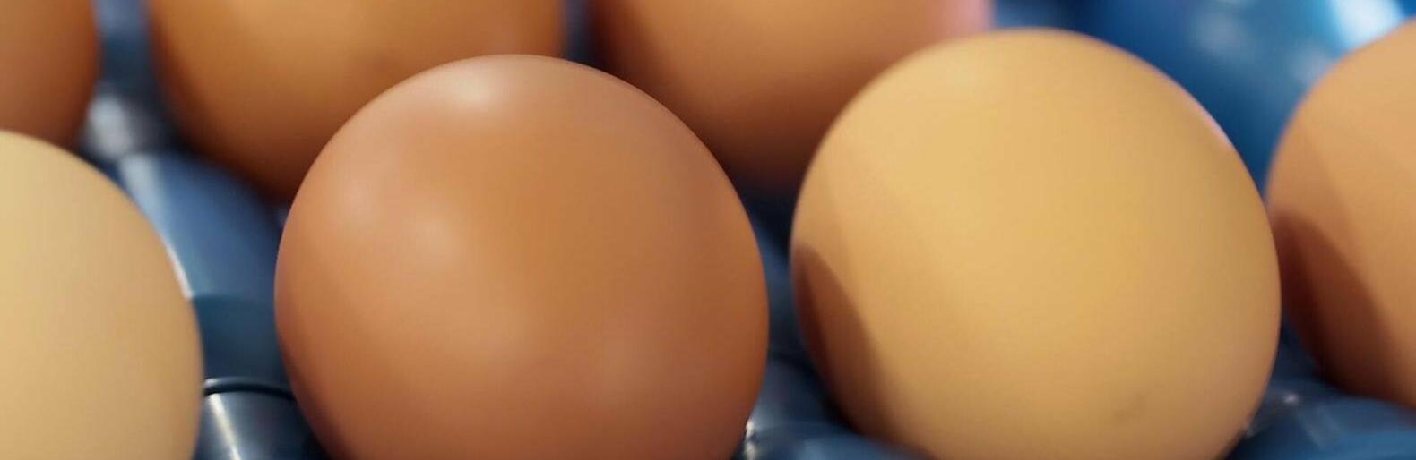  ���� ���� ���� ���� ����� ��� ������� 