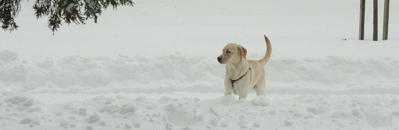 ����: 5692.com.ua