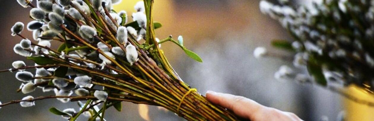 ����: 5692.com.ua