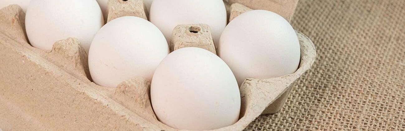  ��������� ���� ������������ ������ ���� ����� ������� ��� 