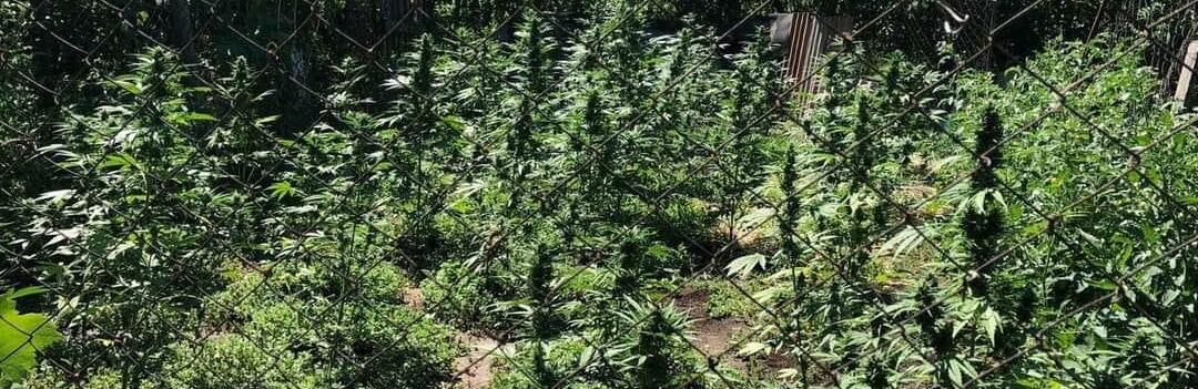 ����: 5692.com.ua