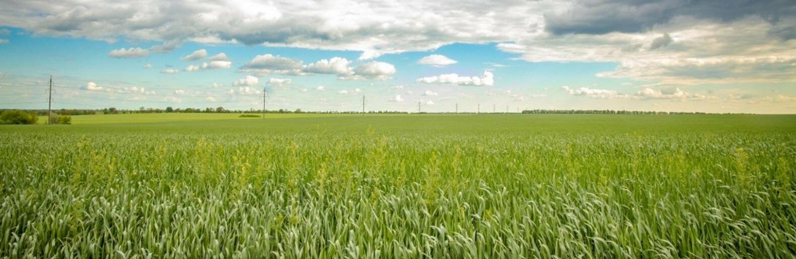  ���������������� ������� ��������� �������� 