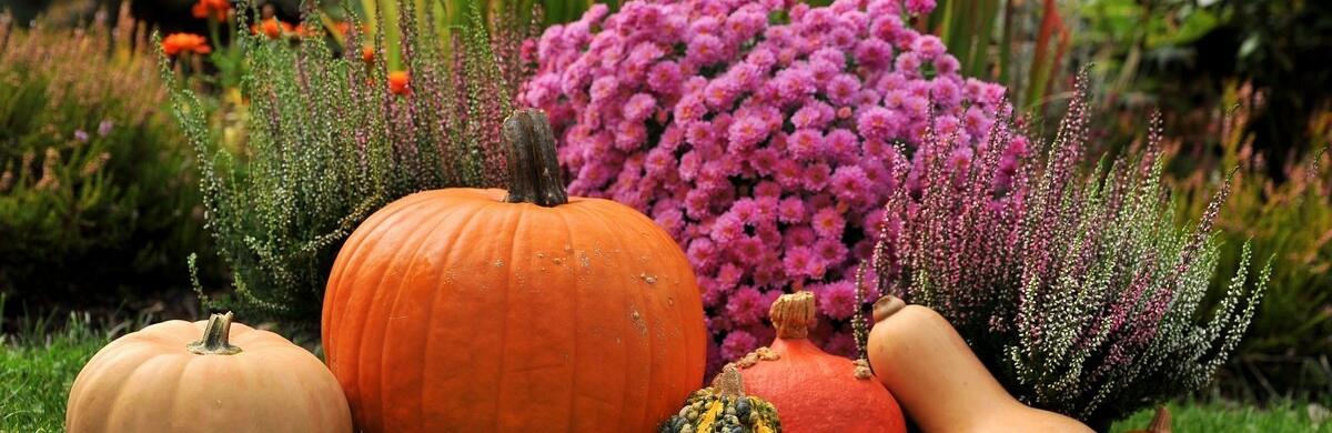  ������ ��� �������� ��������� 