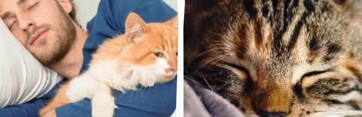 ����: 5692.com.ua