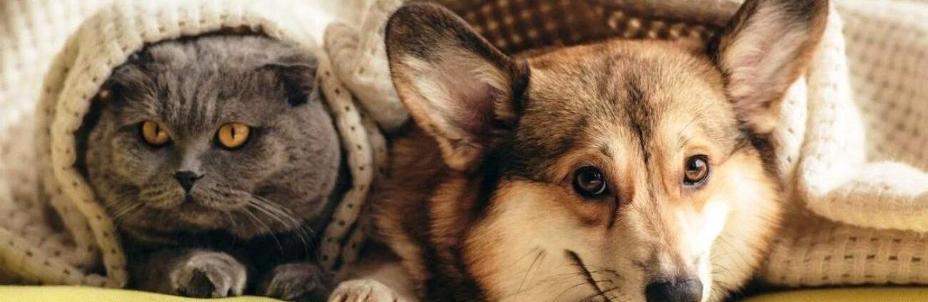 ����: 5692.com.ua