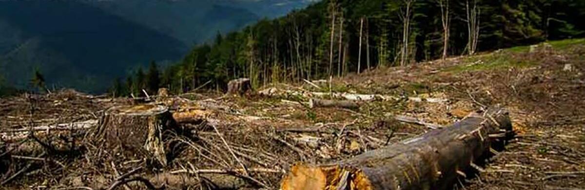  ���� �������� ����� ����� ������ 