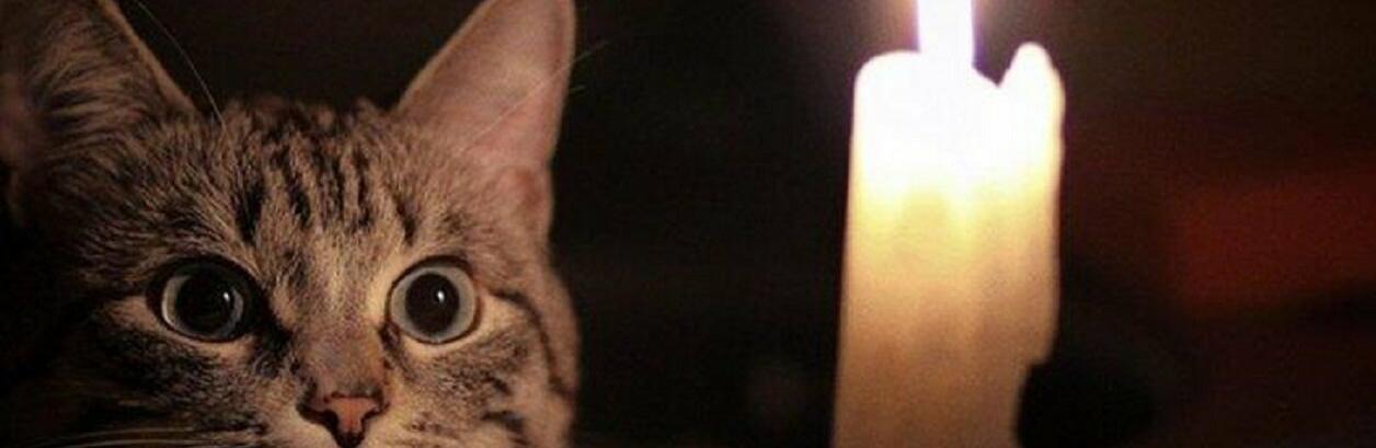 ����: 5692.com.ua