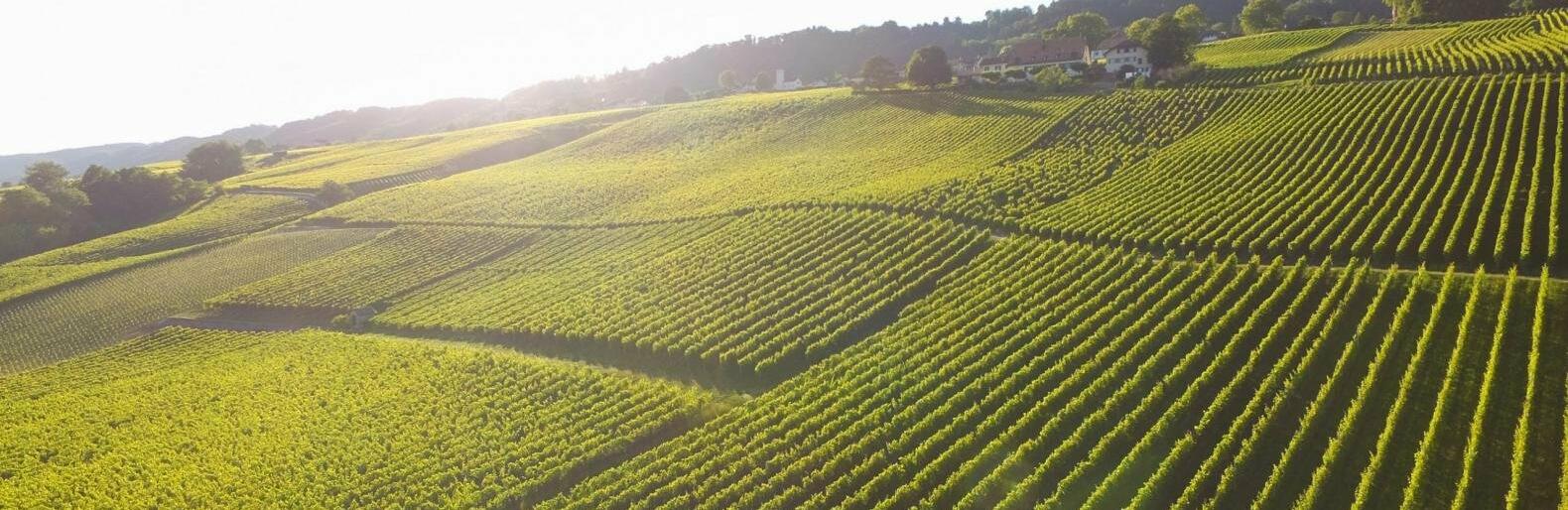  ��������� ��� ���������� �������������� ���� ���� ������ 