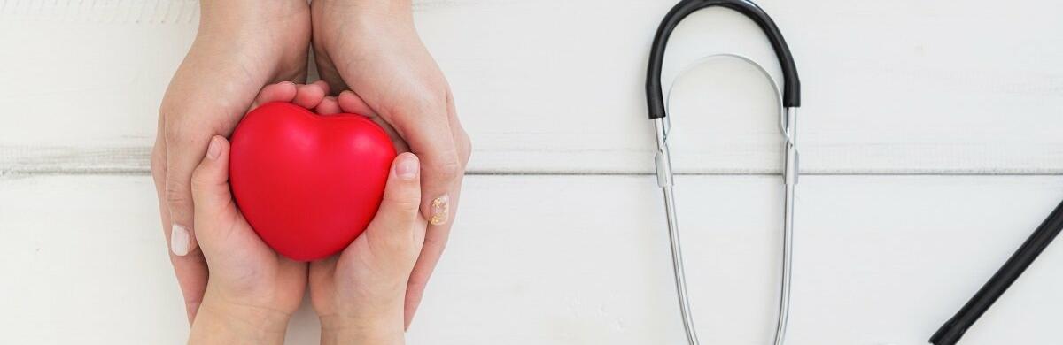  ���� ������� ����� ����������� ���� ���� ��� 