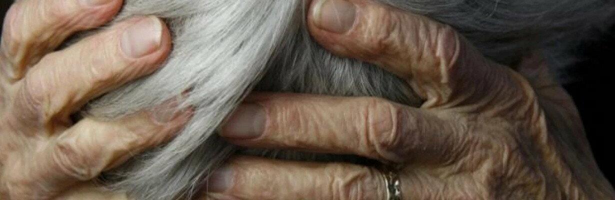  ������� ��� ��� �������� ��� ����� ���� ��� 