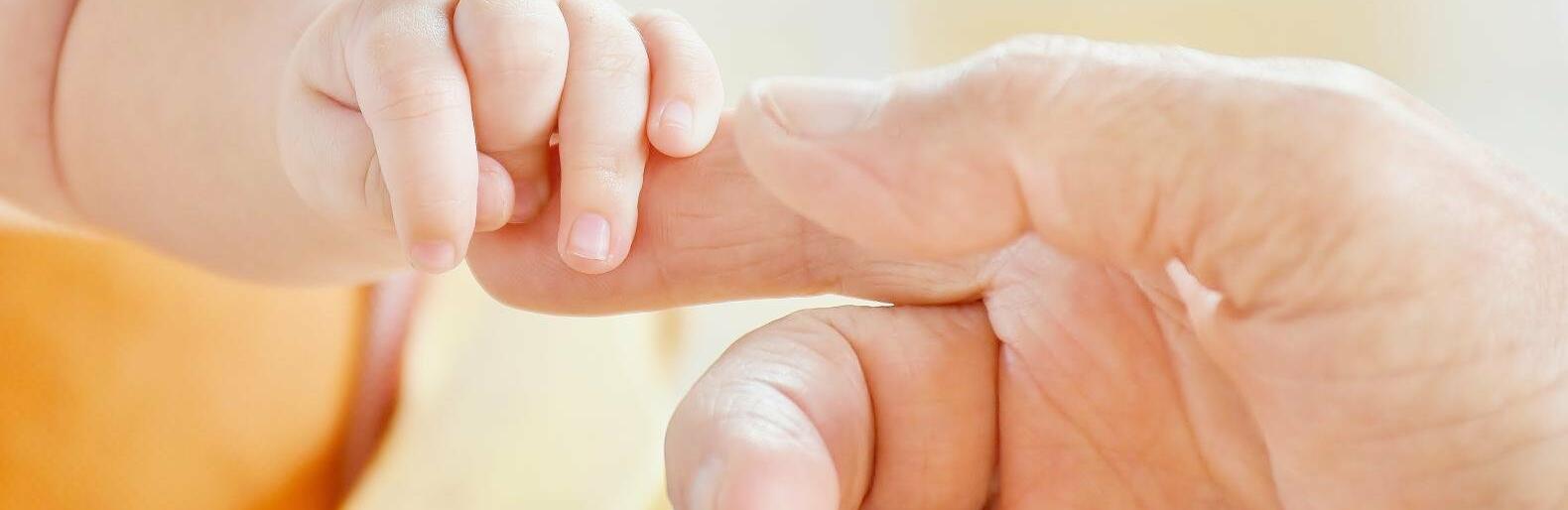  ������ ���� ���� ��� �������� 