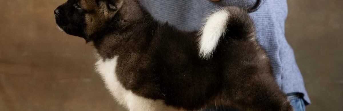 ����: 5692.com.ua