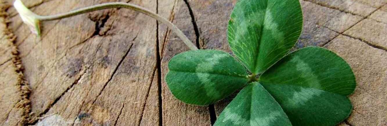  ����� ������� ������� ��������� ������� ��������� ����� 