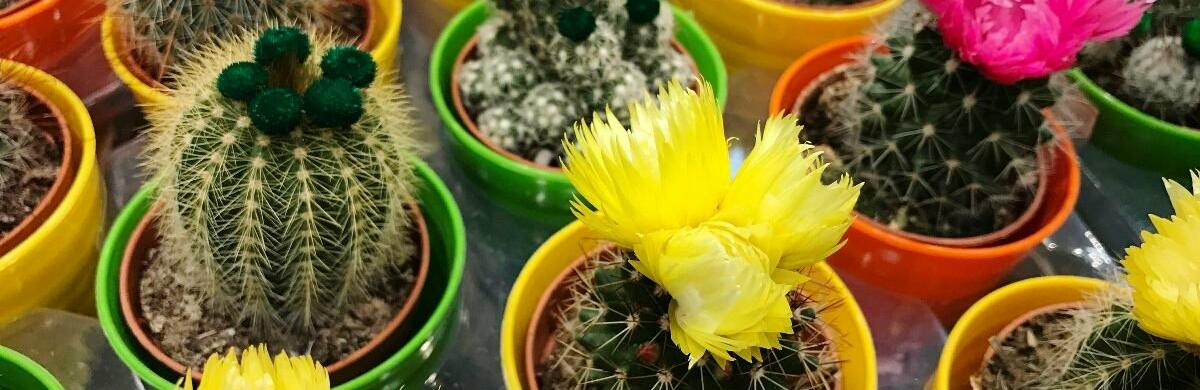 ����: 5692.com.ua