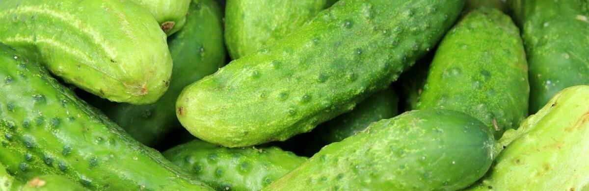  ������� ��������� ����� ���������� ����� 