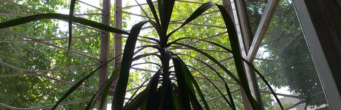 ����: 5692.com.ua