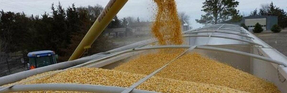 ����: 5692.com.ua