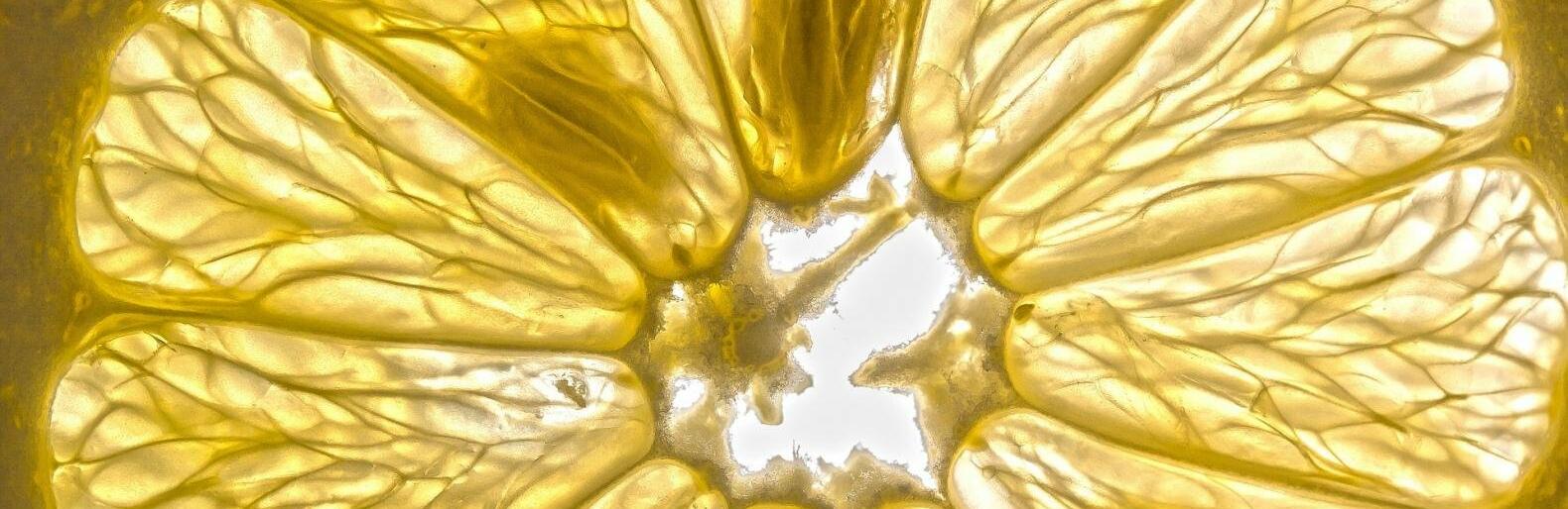  ������ ���� ��������� ����� ������ 