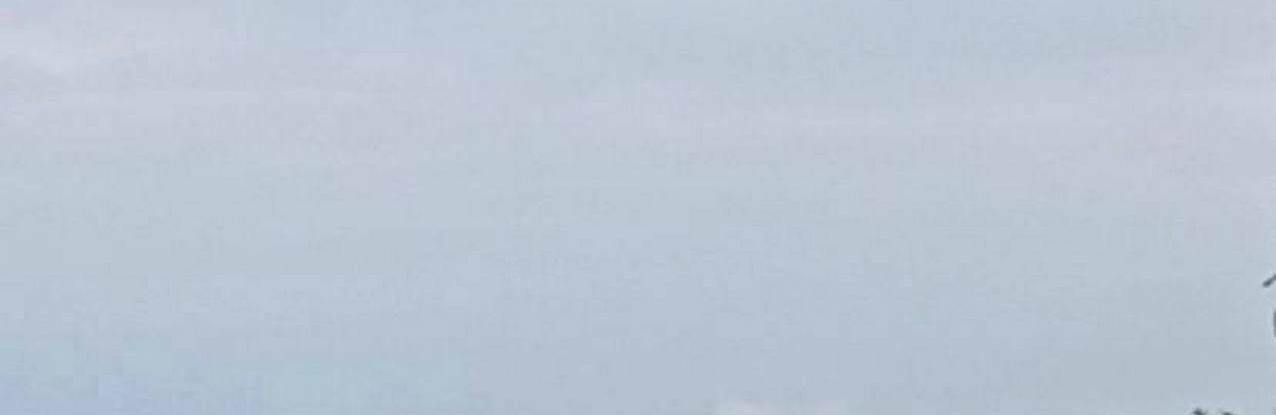  ������ �� ��������� �������� 