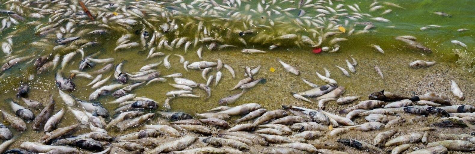  ���������������� ��� �������� ����� �������� ���� ���� ������ 