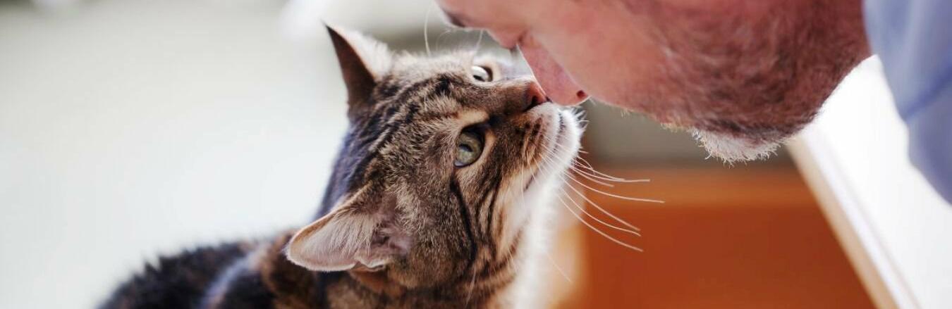 ����: 5692.com.ua