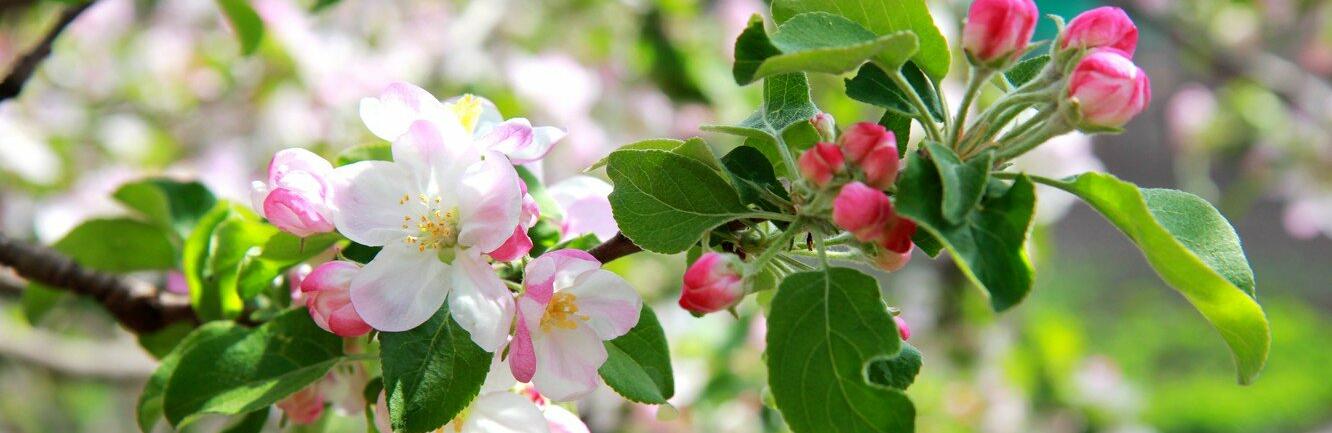  ��������� �������� ��� ����� ����� 