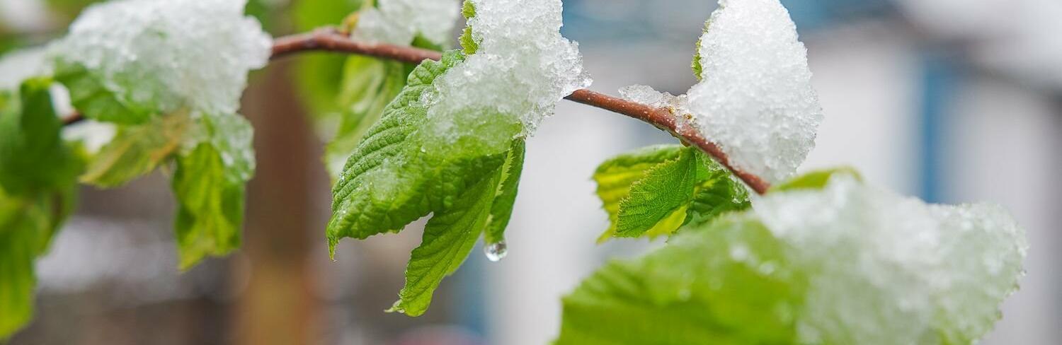  ���� ����� ������ ������ �������� 