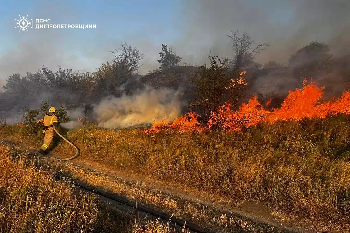  ����� ���� ���������������� ������������ �������� ��������� 