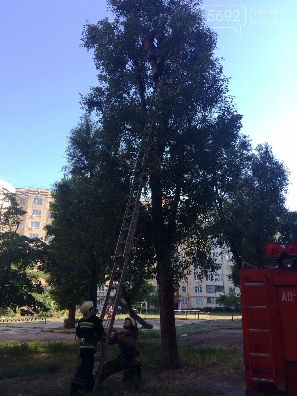 ����: 5692.com.ua