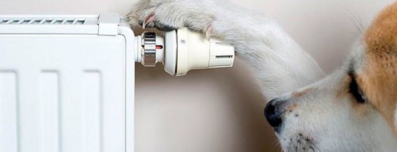  �������� ��������� ���������� ���������� ��������� ������ ������� ������� 