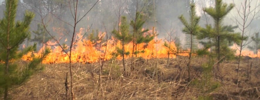  ������ ���������������� ������������� 100 ������ ������� 