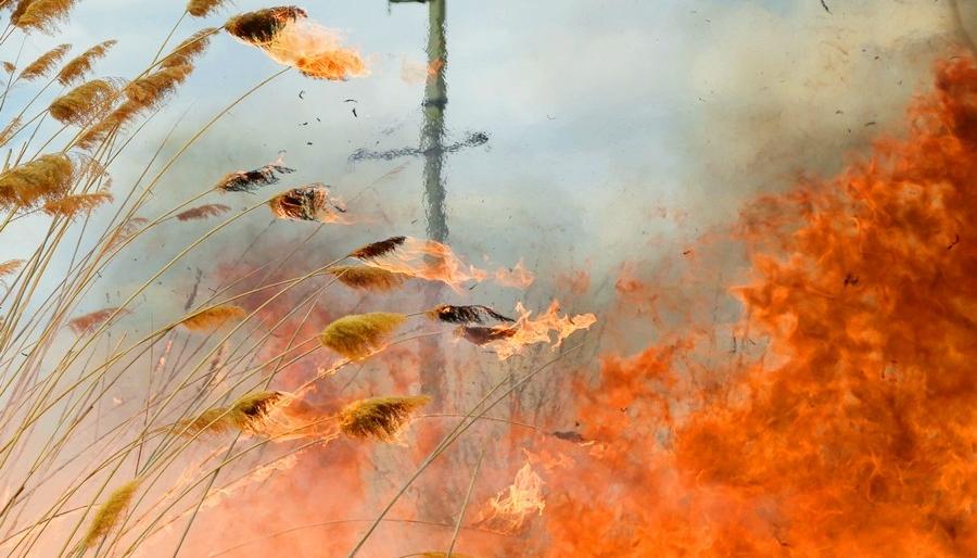  ��������� ��������� ��������� �������������� ������ ��������� ��� 