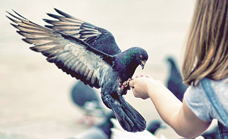 ����: 5692.com.ua