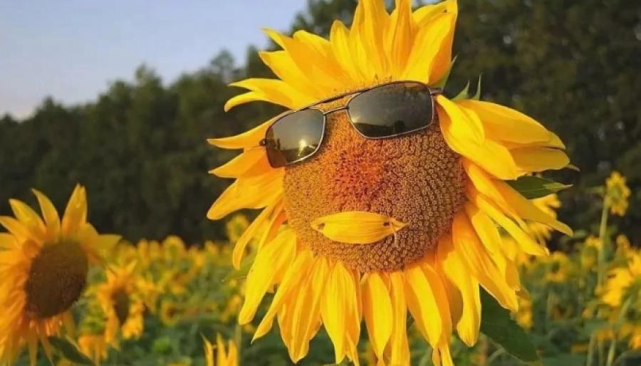  ������ ������� �������� ��������� ��������� �������� ��������� �������������� 