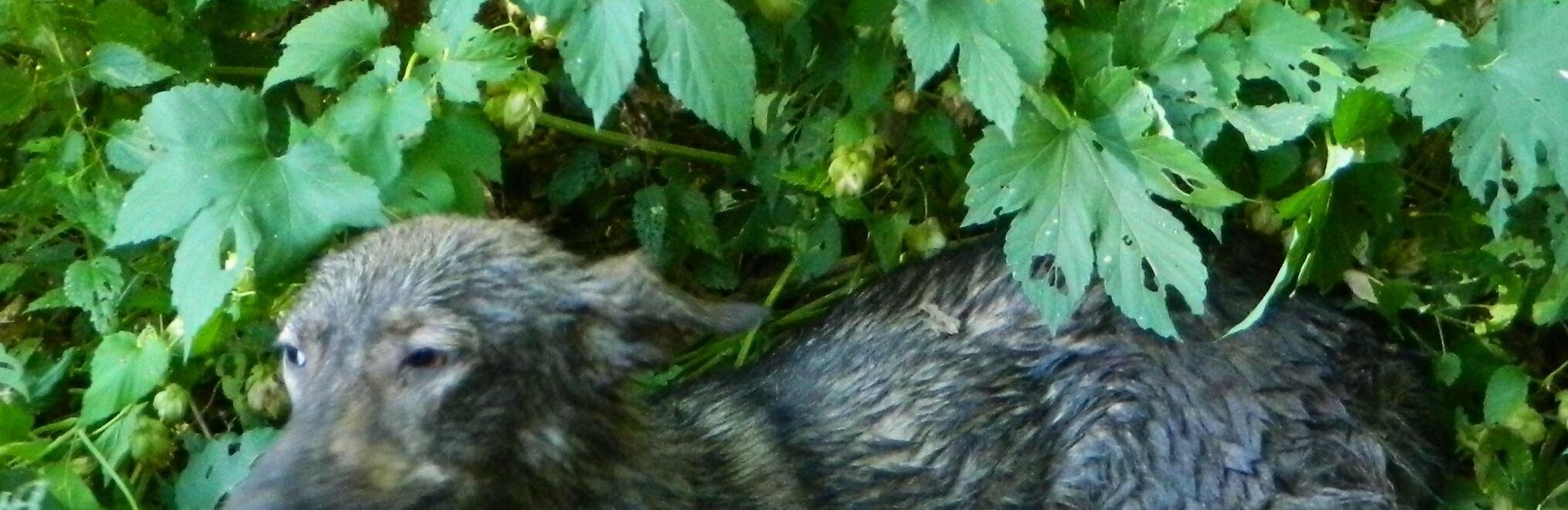  ��������� ��������� ������� ������� ����� 