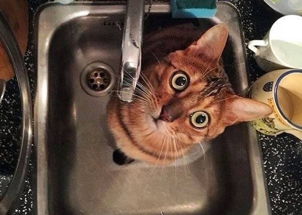  �������� ��������� ������ ��������� ����� �������� ������������� 