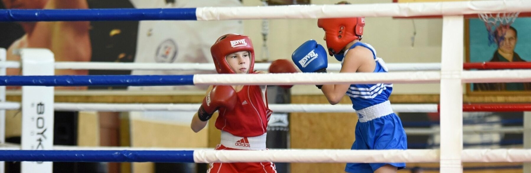  �������� ������ �������� ���� ���� ���������� ����������� ��������� 