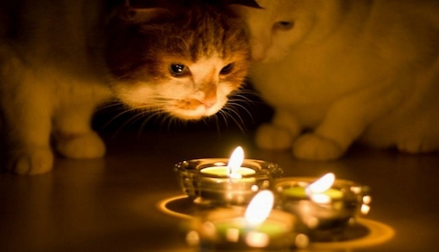 ����: 5692.com.ua