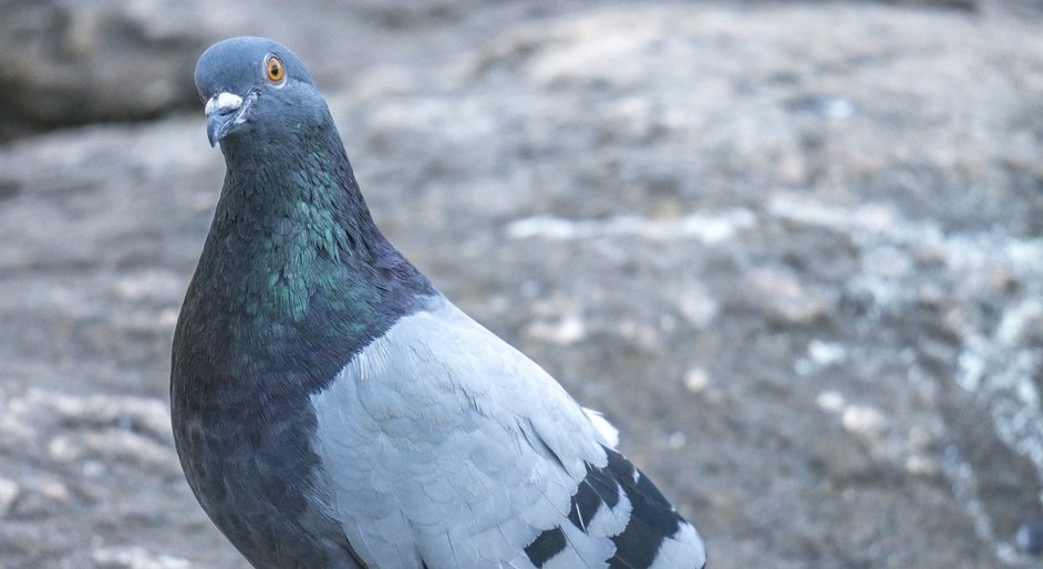  ��������� ������ ��������� ������ ������� ����� ����������� �������� 