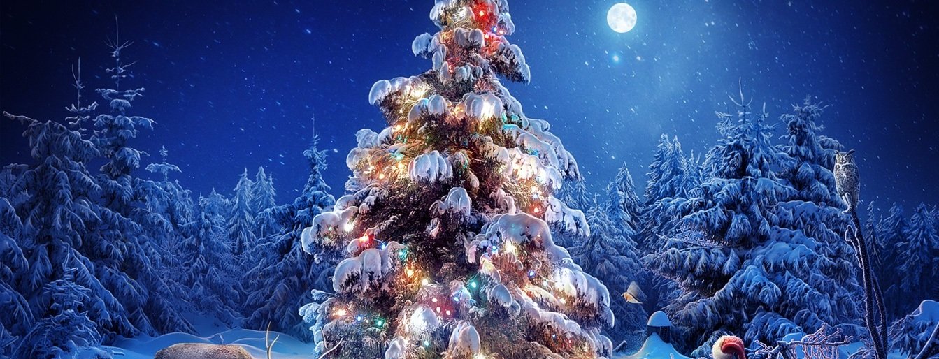  ������� ��������� ������ ��������� ����������� �������� ����� ����� 