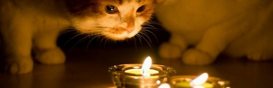 ����: 5692.com.ua