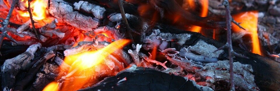  ���� ������ ������� ������ ������ ������� ����� ������� 