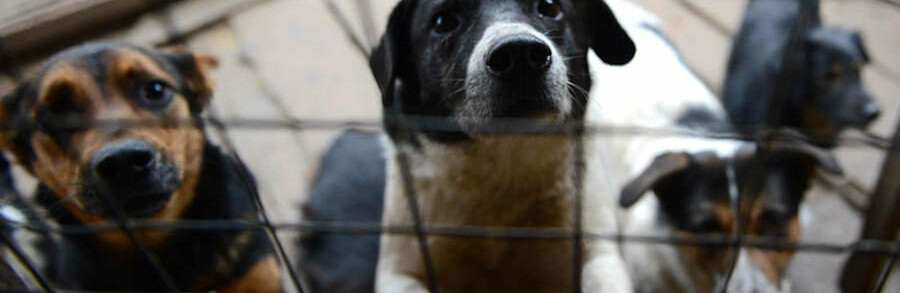  ��������� ������� ����� ��������� �������� 