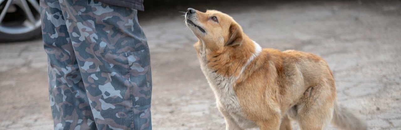  ��������� ������� ��������� ����� ��������� �������� 