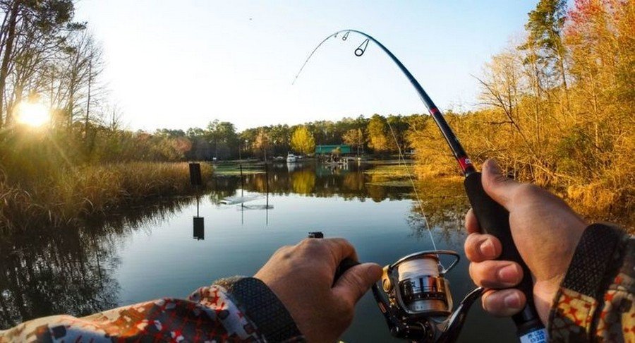  ������ ������� ��������� ������������� �������� ������ ������� 